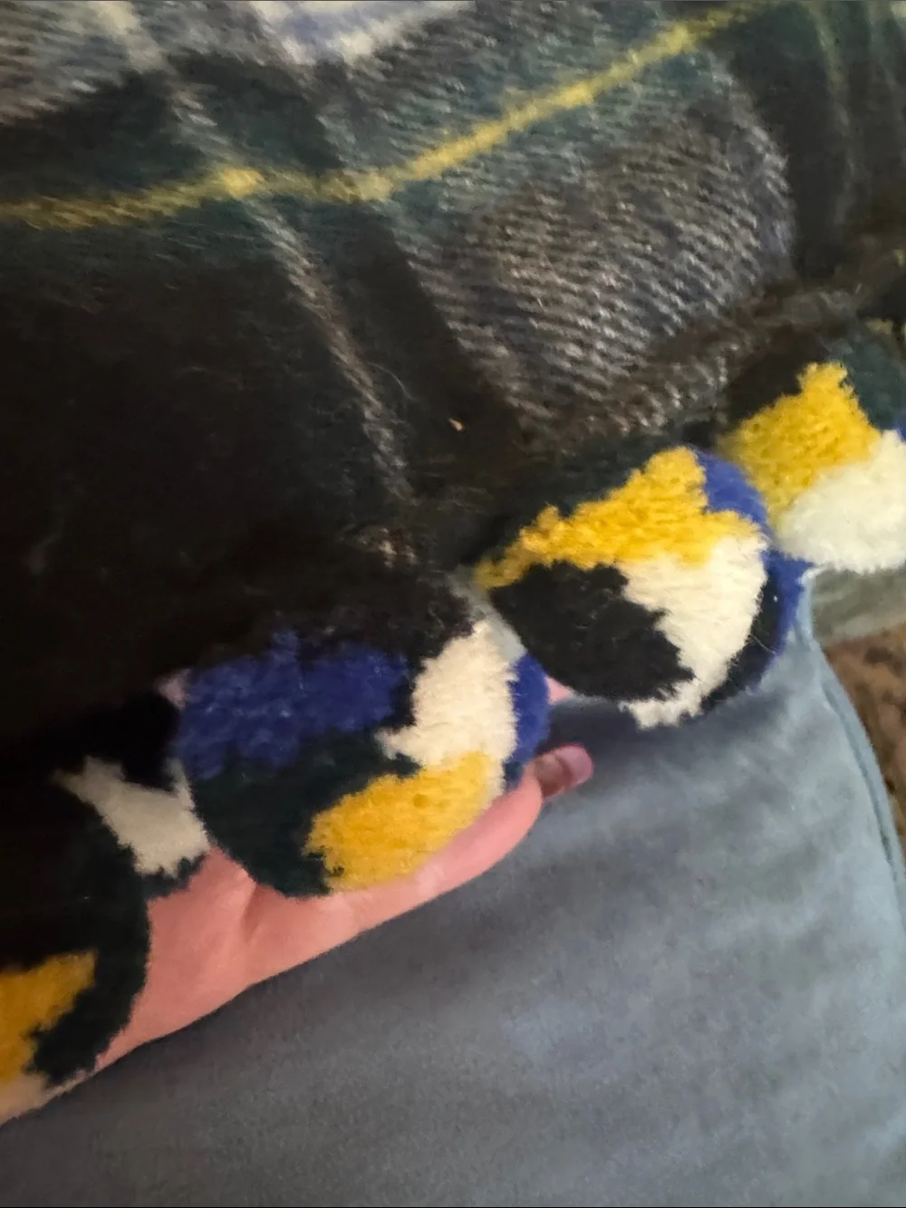 J. Crew Plaid Scarf in Black, Gray, Blue & Yellow with Pom-Pom Trim 100% wool